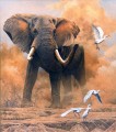 dusty elephant with egrets